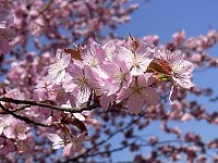 �I�I���}�U�N��