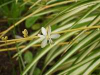 �I���d������