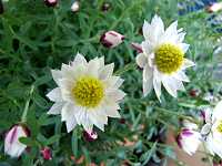 �y�[�p�[�J�X�P�[�h