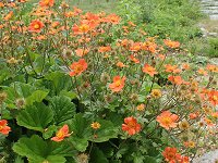 �|�e���e�B��