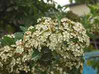 �s���J���T