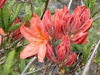 �����Q�c�c�W