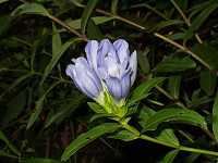 �����h�E