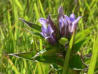 �����h�E