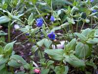 �����n�R�x