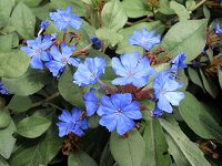 �����}�c�����h�L