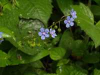 �����\�E