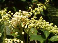 �����E�u