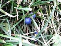 �����E�m�q�Q