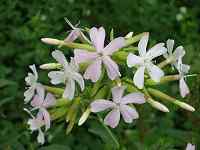 �T�{���\�E