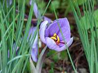 �T�t����