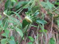 �T�W�K���N�r�\�E