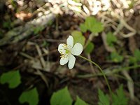 �T�������\�E