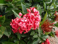 �T���^���J