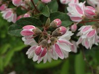 �T���T�E�c�M