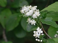 �T���t�^�M