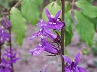 �T���M�L���E