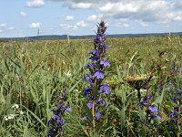 �T���M�L���E