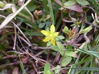 �Z�C���E�I�g�M��