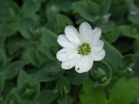 �V�R�^���n�R�x