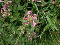 �V�I�K�}�M�N