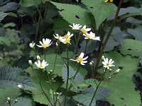 �V�����}�M�N