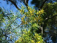 �\�E�V�W��