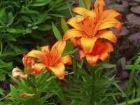 �������S��