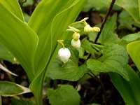 �X�Y����