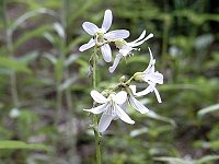 �^�K�\�f�\�E