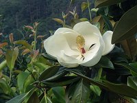 �^�C�T���{�N