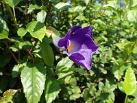 �R�_�`���n�Y�J�Y��