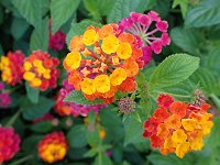 �����^�i