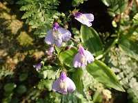 �����T�L�T�M�S�P