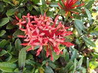 �T���^���J