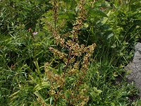 �^�J�l�A�I���M�\�E