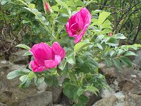 �^�J�l�o��