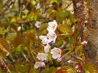 �^�J�l�U�N��