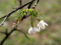 �^�J�l�U�N��