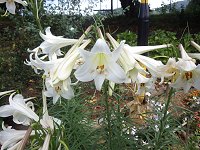 �����S��