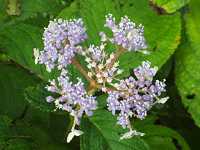 �^�}�A�W�T�C