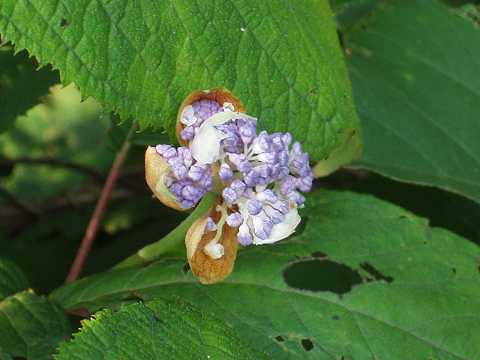 �^�}�A�W�T�C