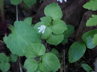 �^�j�M�L���E