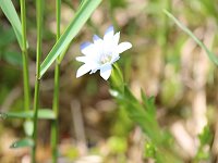 �^�e���}�����h�E