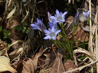 �^�e���}�����h�E