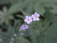 �^�`�J���o�\�E