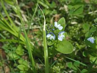 �e���O�N���K�^