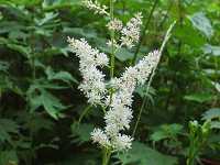 �`�_�P�T�V