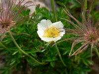 �`���O���}