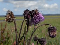 �`�V�}�A�U�~